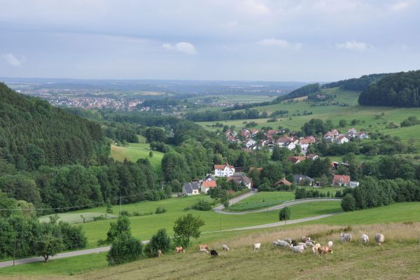 Hölzle Landgasthof (Waldstetten)